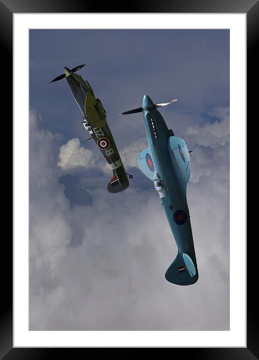  Spitfires topping the loop Framed Mounted Print by Oxon Images