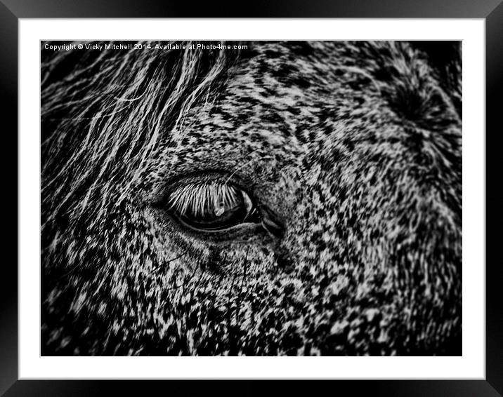  The Horse Framed Mounted Print by Vicky Mitchell