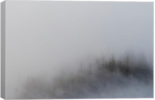  Mam Tor Misty Trees Canvas Print by James Grant