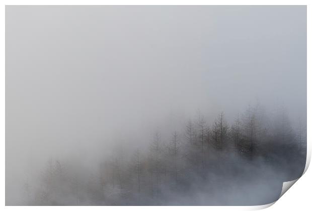  Mam Tor Misty Trees Print by James Grant