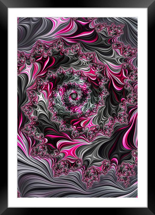 Pink And Grey Framed Mounted Print by Steve Purnell
