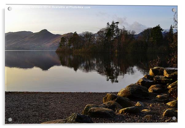 Late Afternoon at Derwentwater Acrylic by Tony Johnson