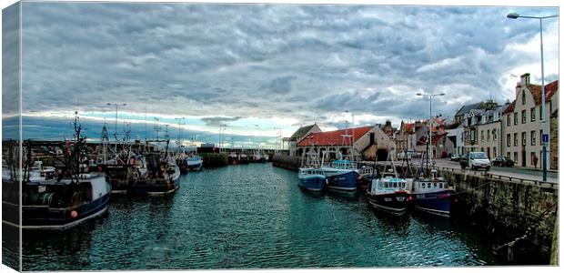 Pittenweem Harbour Canvas Print by Tom Gomez