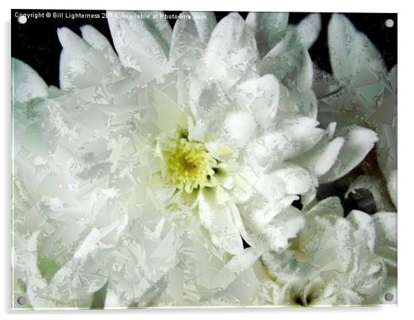 Frosty Flower Art Acrylic by Bill Lighterness