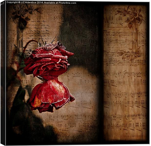  Winter Roses Canvas Print by LIZ Alderdice