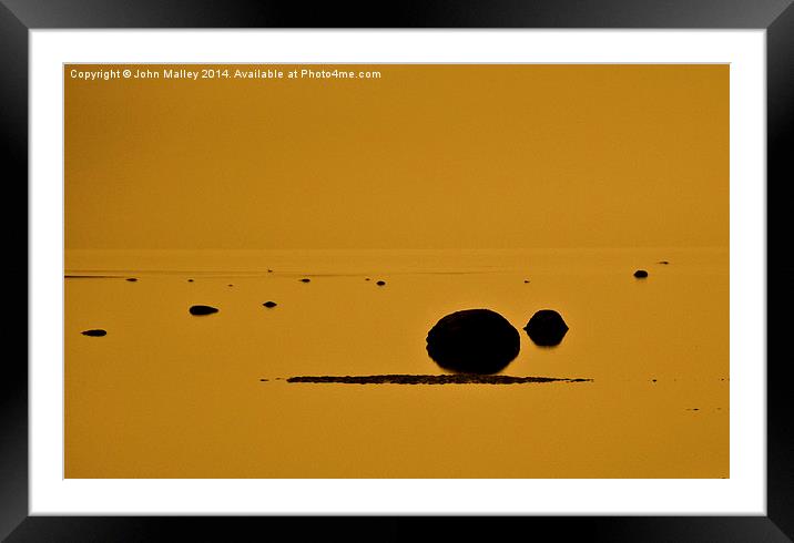  Shimmering Yellows Framed Mounted Print by John Malley