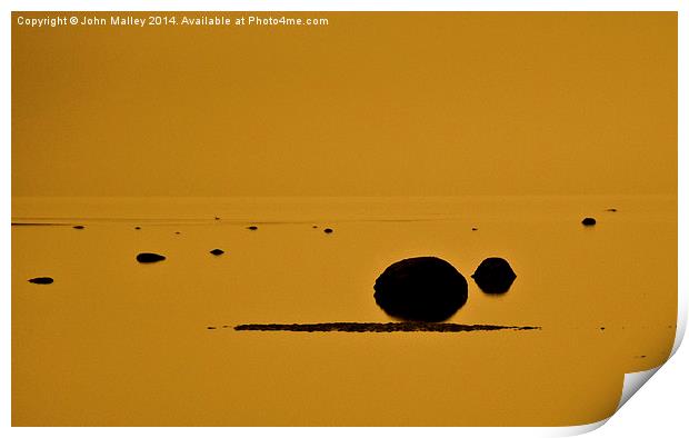 Shimmering Yellows Print by John Malley