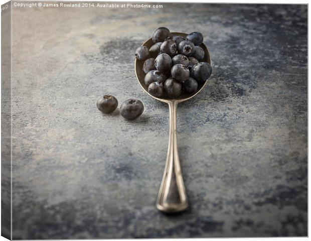  Blueberries Canvas Print by James Rowland