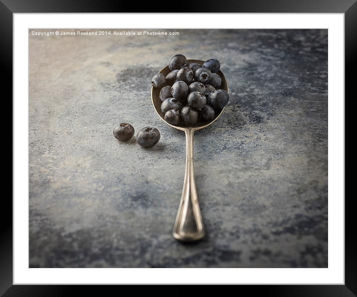  Blueberries Framed Mounted Print by James Rowland