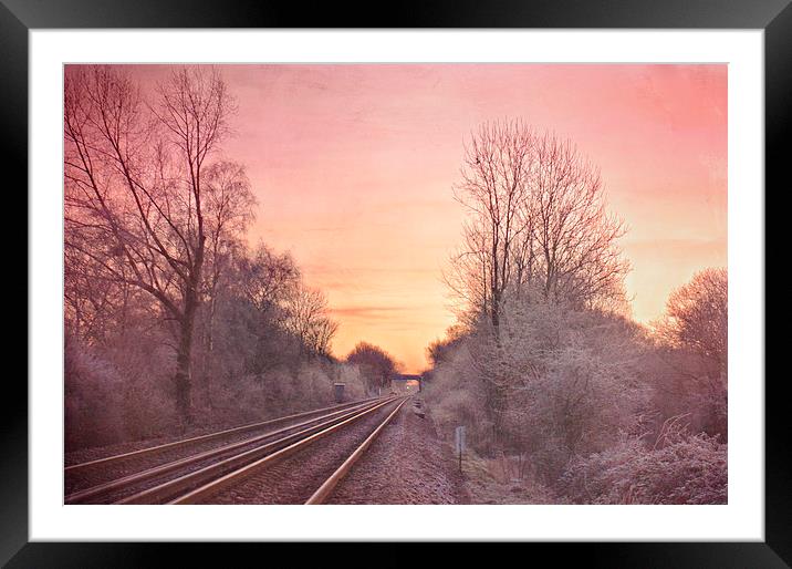 Solitude  Framed Mounted Print by Dawn Cox