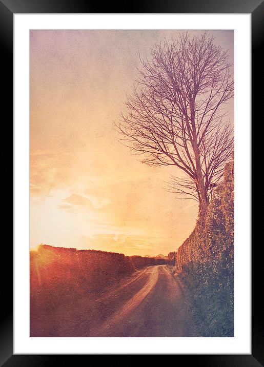 Long way from home  Framed Mounted Print by Dawn Cox
