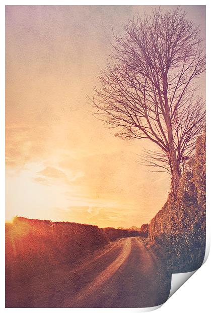 Long way from home  Print by Dawn Cox