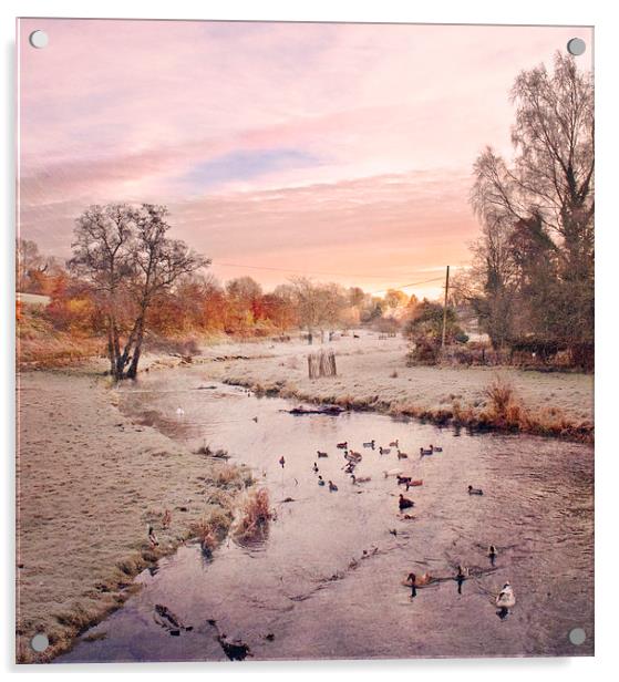  River Darenth Acrylic by Dawn Cox