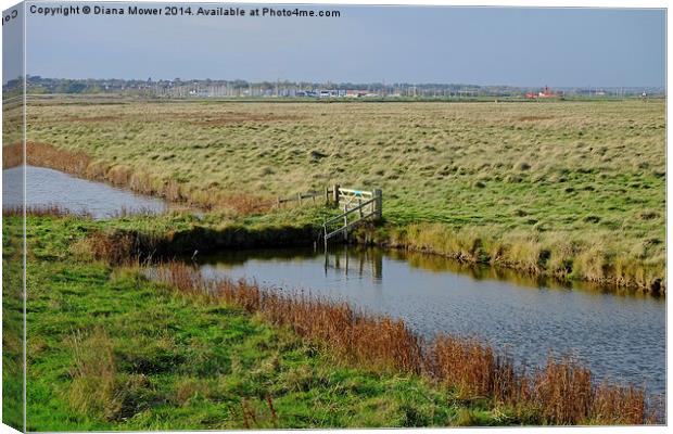 Tollesbury Marshes  Canvas Print by Diana Mower
