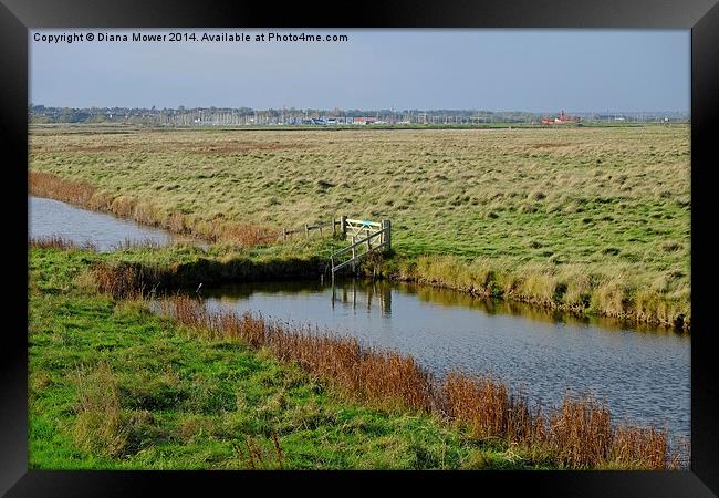 Tollesbury Marshes  Framed Print by Diana Mower