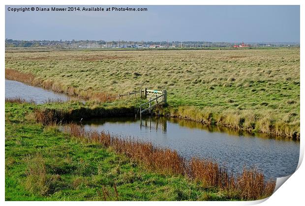 Tollesbury Marshes  Print by Diana Mower