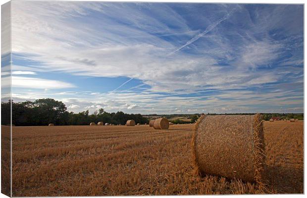  The harvest is in Canvas Print by Stephen Prosser