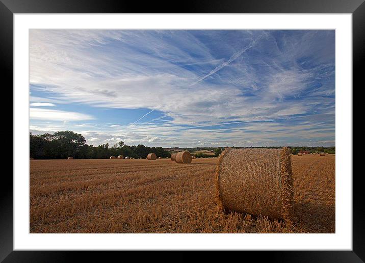  The harvest is in Framed Mounted Print by Stephen Prosser