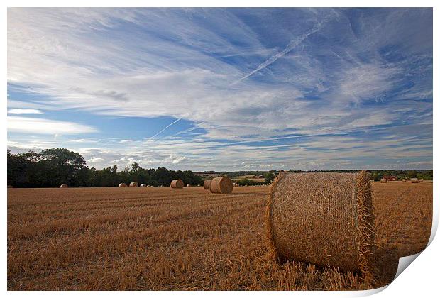  The harvest is in Print by Stephen Prosser