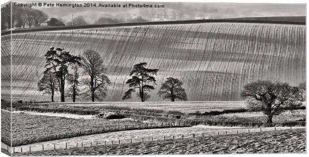  Fields and trees Canvas Print by Pete Hemington
