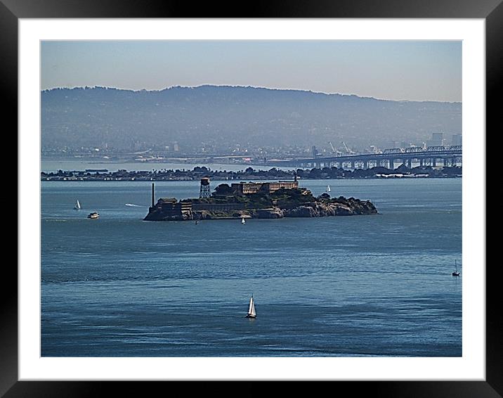 Sailing Around Alcatraz Framed Mounted Print by Patti Barrett