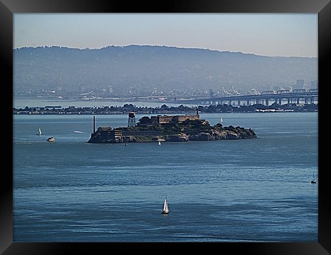 Sailing Around Alcatraz Framed Print by Patti Barrett
