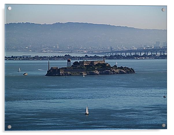 Sailing Around Alcatraz Acrylic by Patti Barrett
