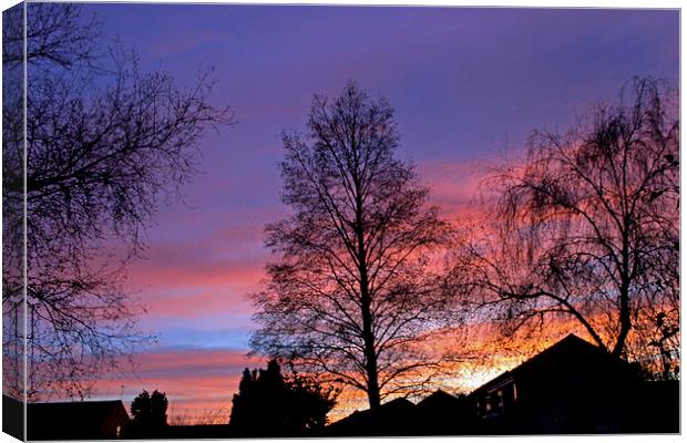  Sun setting over Bicester   Canvas Print by Tony Murtagh
