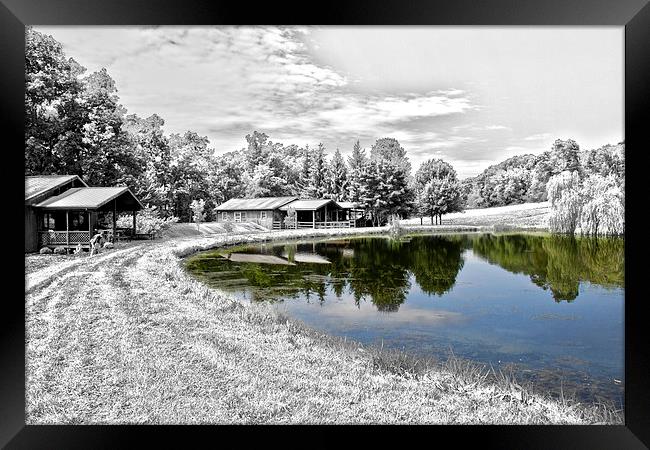  The Pond at Mount Nittany Vineyard Framed Print by Tom and Dawn Gari