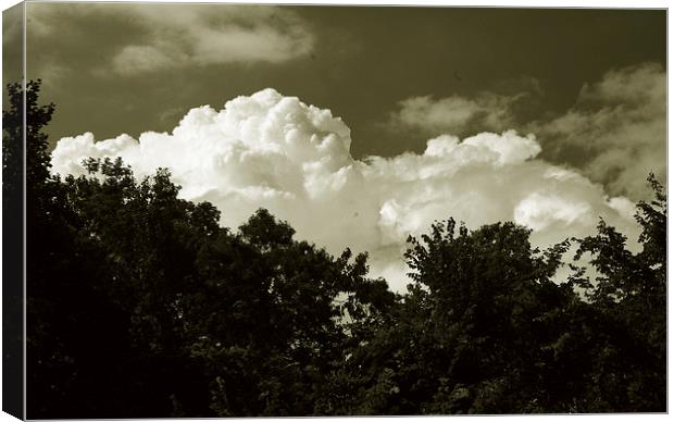  Clouds over the Trees Duo Canvas Print by james balzano, jr.