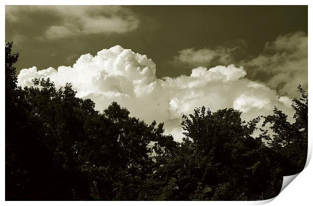  Clouds over the Trees Duo Print by james balzano, jr.