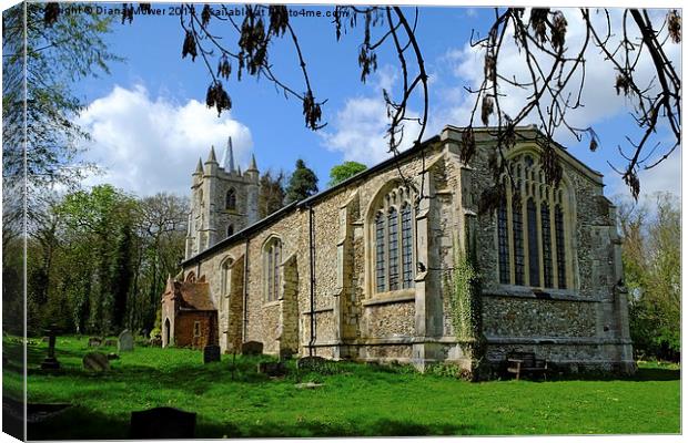  St Marys Little  Sampford Canvas Print by Diana Mower