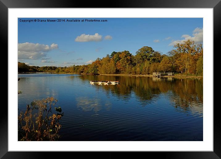 Hatfield Forest  lake Framed Mounted Print by Diana Mower
