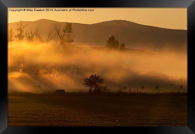 Golden Morning Framed Print by Mike Dawson