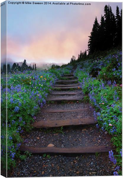 Stairway to the Heavens Canvas Print by Mike Dawson