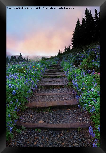 Stairway to the Heavens Framed Print by Mike Dawson