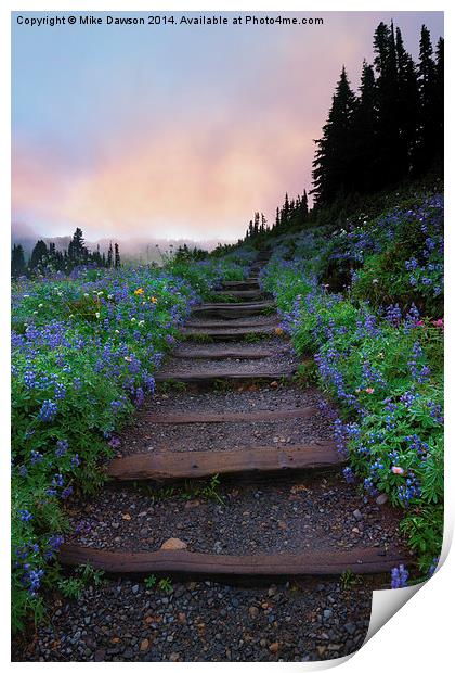 Stairway to the Heavens Print by Mike Dawson