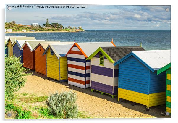  Beach Huts at Brighton Victoria Australia Acrylic by Pauline Tims