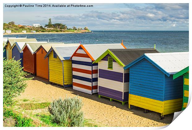  Beach Huts at Brighton Victoria Australia Print by Pauline Tims