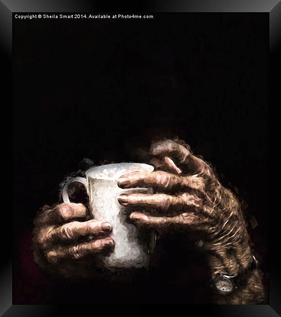  Aged hands holding a mug Framed Print by Sheila Smart