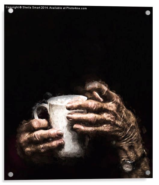  Aged hands holding a mug Acrylic by Sheila Smart