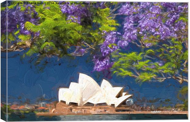  Sydney icon with jacaranda Canvas Print by Sheila Smart