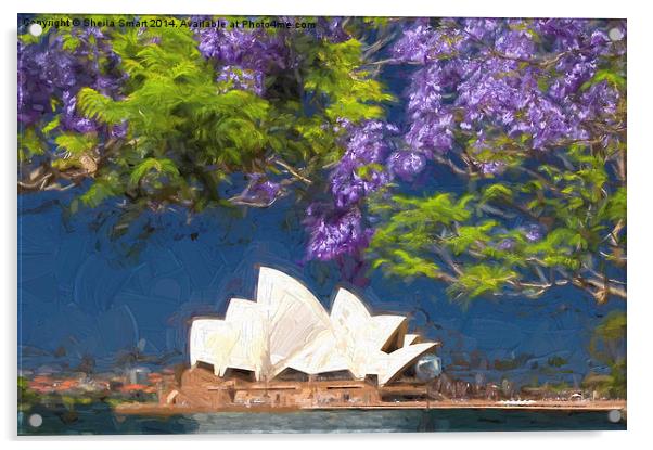  Sydney icon with jacaranda Acrylic by Sheila Smart