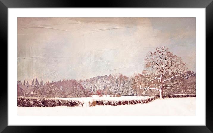  Winter Walk Framed Mounted Print by Dawn Cox