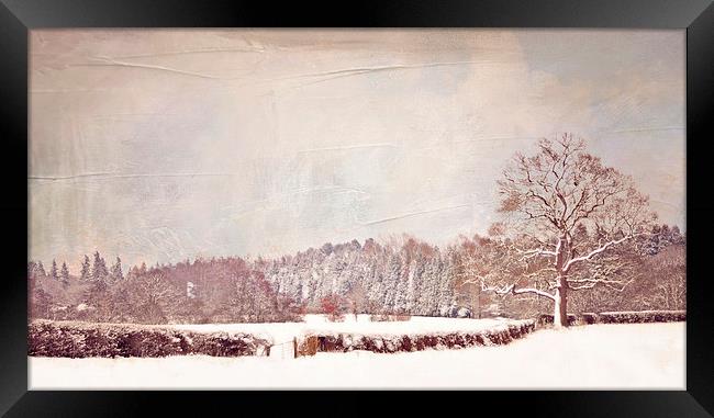  Winter Walk Framed Print by Dawn Cox