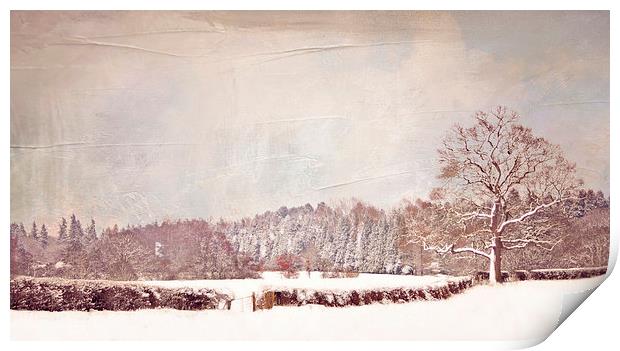  Winter Walk Print by Dawn Cox