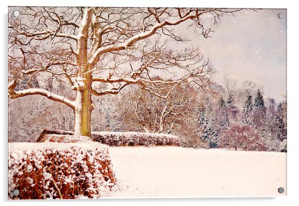 Winter Scene  Acrylic by Dawn Cox