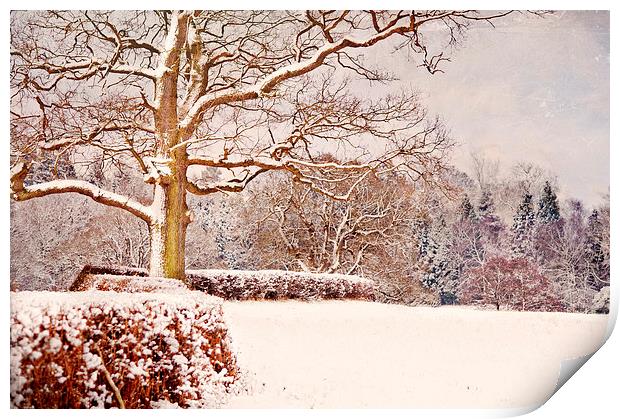 Winter Scene  Print by Dawn Cox