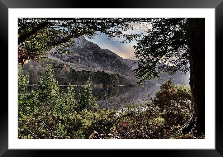  Derwentwater Through The Trees Framed Mounted Print by Tony Johnson