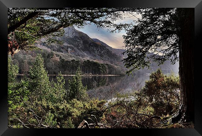  Derwentwater Through The Trees Framed Print by Tony Johnson